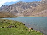 india09 551